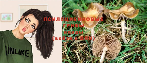 амф Алексеевка
